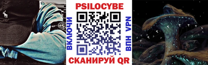 Купить где  Красновишерск  Галлюциногенные грибы MAGIC MUSHROOMS 