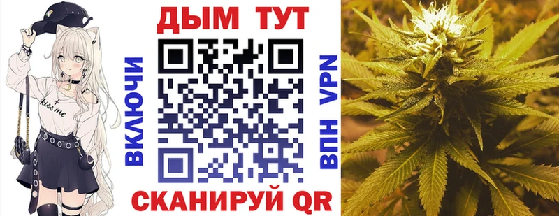 Купить где  Красновишерск  Каннабис план 